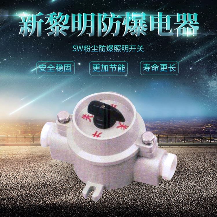 SW-10 防爆照明开关10A防水防尘控制开关 铝合金防爆开关220v380v