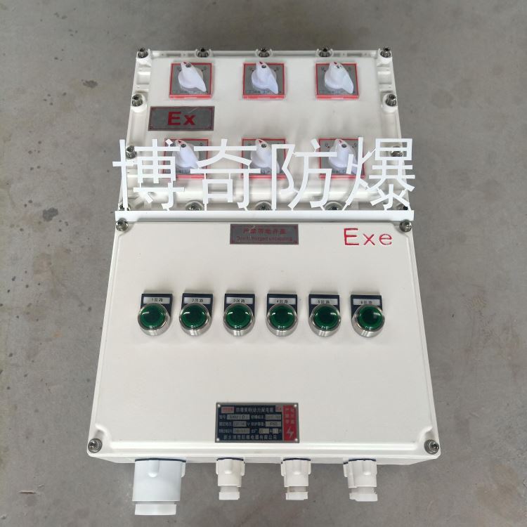 醴陵防爆配电箱 鄢陵县防爆配电箱 防爆镇流器 防爆转换开关 防爆星三角起动器 BXK防爆控制箱