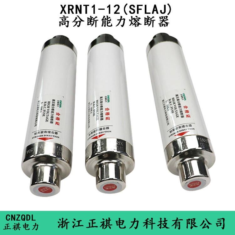 批发XRNT-10/63A熔断器 SFAJ-12熔断器 xrnt高压熔断器