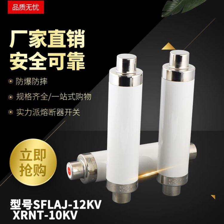 10KV高压限流熔断器 XRNT- 10(12)KV- 160A-200A高分断能力熔断器