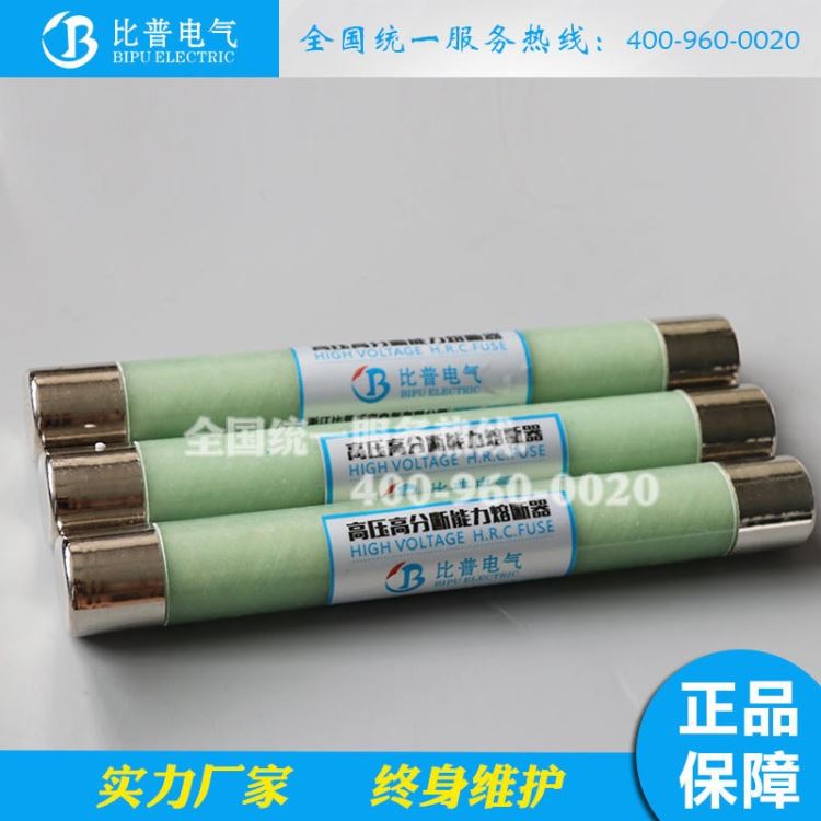 比普 高压熔断器XRNP1-10-12KV0.5A1A2A3A限流熔断器底座互感器PT熔管