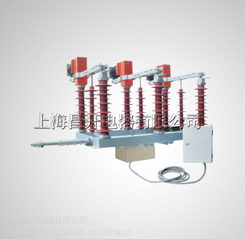 FZW32高压负荷开关FZW32-12/T630-20型户外高压隔离真空负荷开关