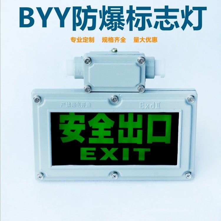 浙江凯祥电气 国防防爆应急灯 BYY安全出口指示灯 充电LED超亮疏散指示 双头照明灯防爆