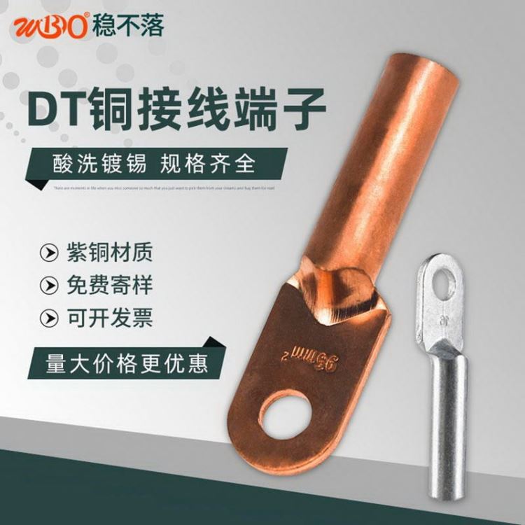 dt-20铜接线端子 DT铜接头接线铜鼻 绝缘端子电线 稳不落