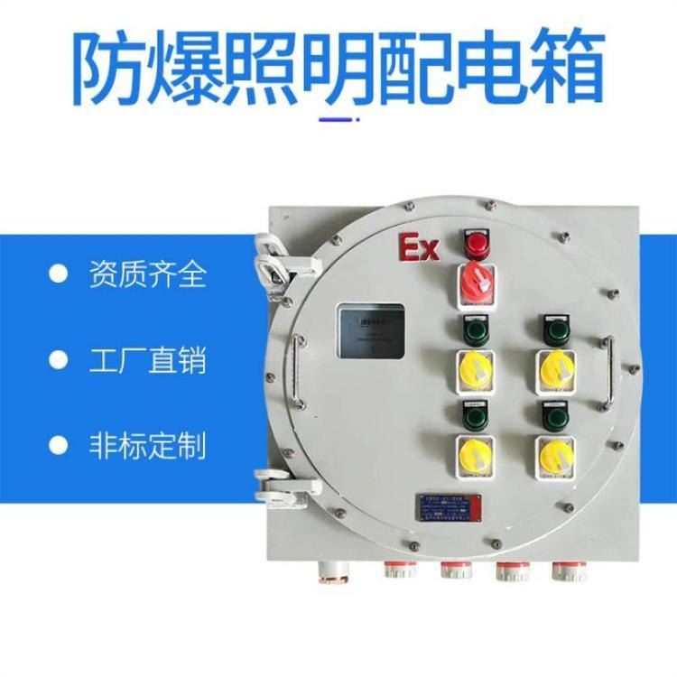 防爆照明配电箱 防爆电源插座箱 防爆箱 防爆电缆盘
