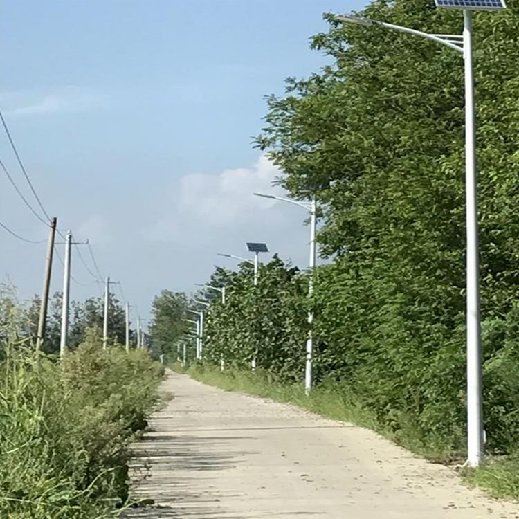 德州蓝润太阳能路灯景观太阳能路灯厂家风光互补太阳能路灯太阳能路灯节能灯