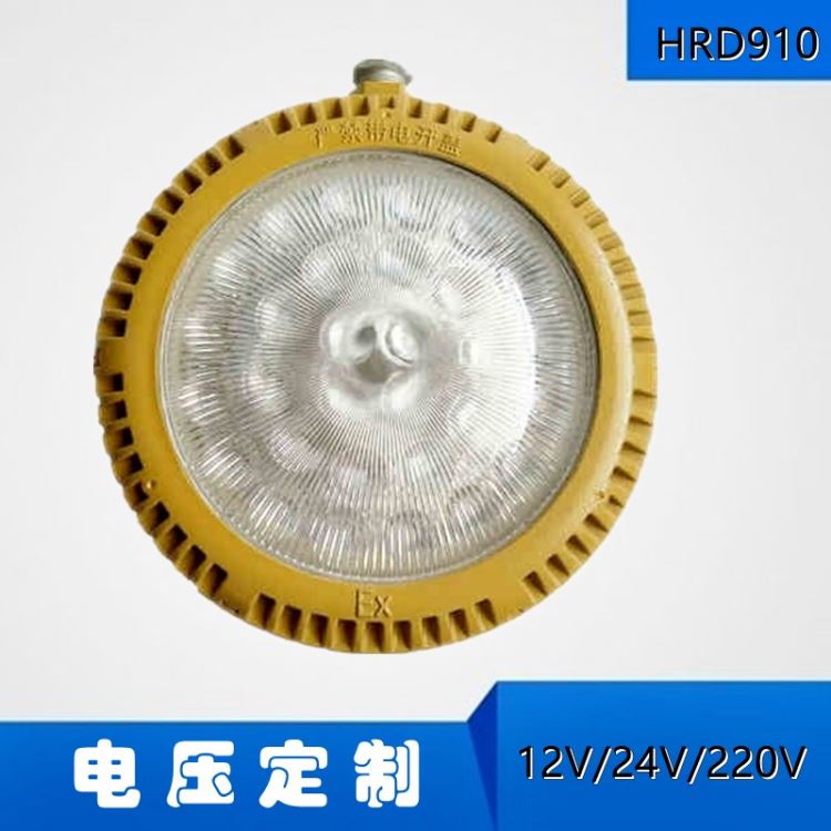 防爆吸顶灯 配电房爆吸顶灯12V24V  华隆HRD91018W30W