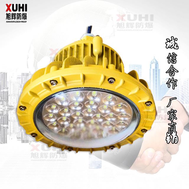 XHD610-LED-9123防爆灯20W30W40W厂用防爆吸顶灯/可加应急