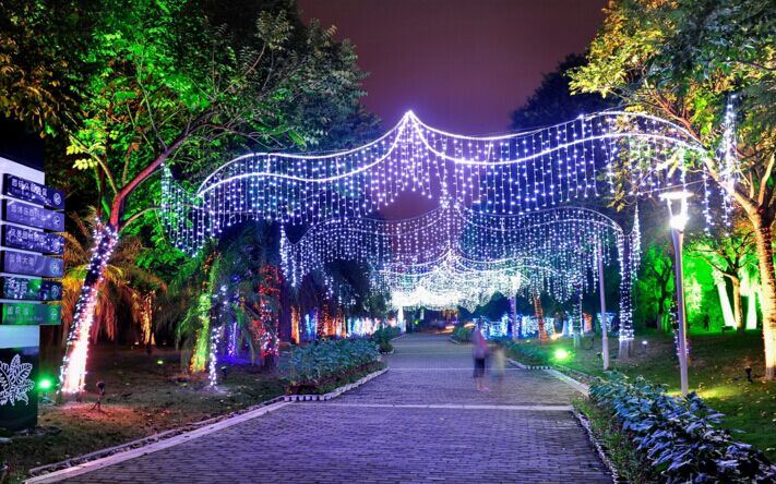 造型灯厂家直销 led造型灯图片 街道亮化灯 广场亮化装饰灯 华妮