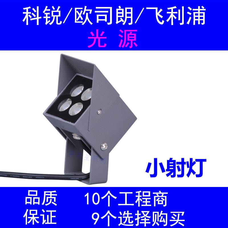 古建照明灯具6W科锐新款led小射灯户外瓦檐射灯厂家批发