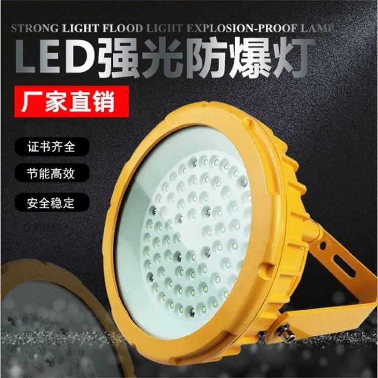 LED防爆灯30W50W100W120W150W防爆投光灯泛光灯工矿灯平台灯