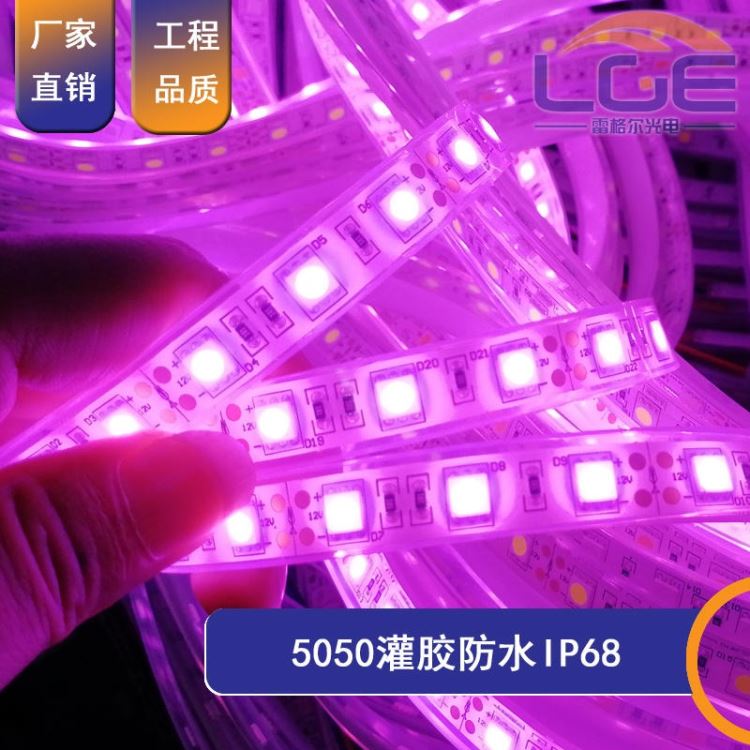 5050贴片软灯条60灯线条灯带LED 户外防水灌胶滴胶12V照明水底灯条