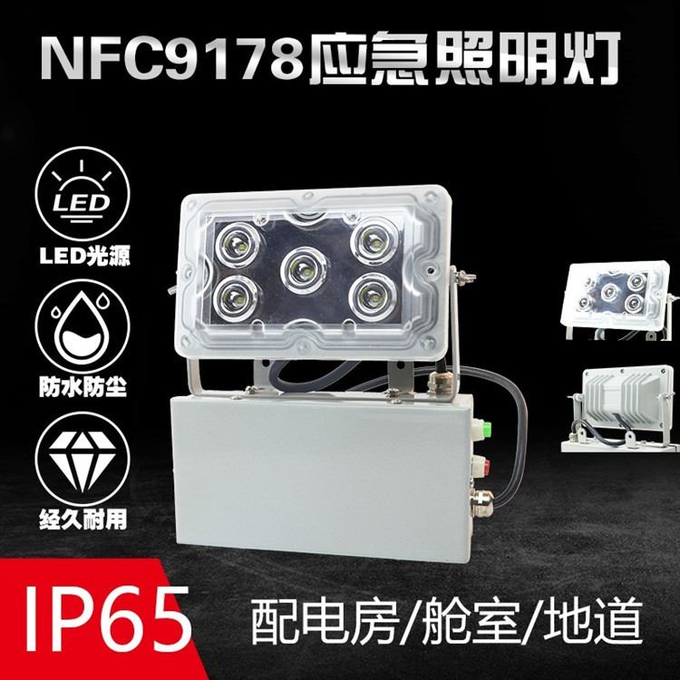 NFE9178应急壁灯 NFC9178顶灯免维护应急led底顶灯三防灯应急壁灯