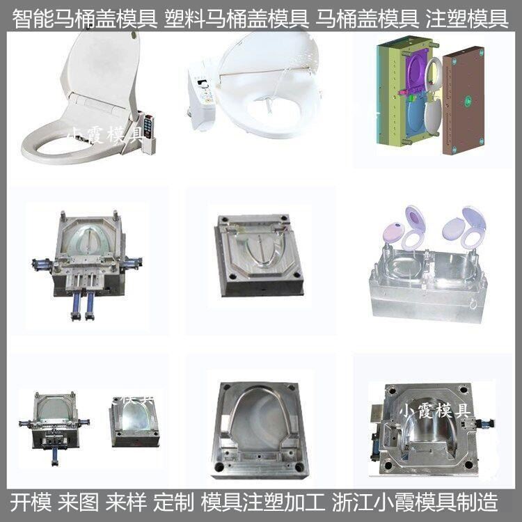 智能马桶盖模具智能马桶盖塑料模具智能马桶盖塑胶模具智能马桶盖注塑模具/开模设备注塑成型