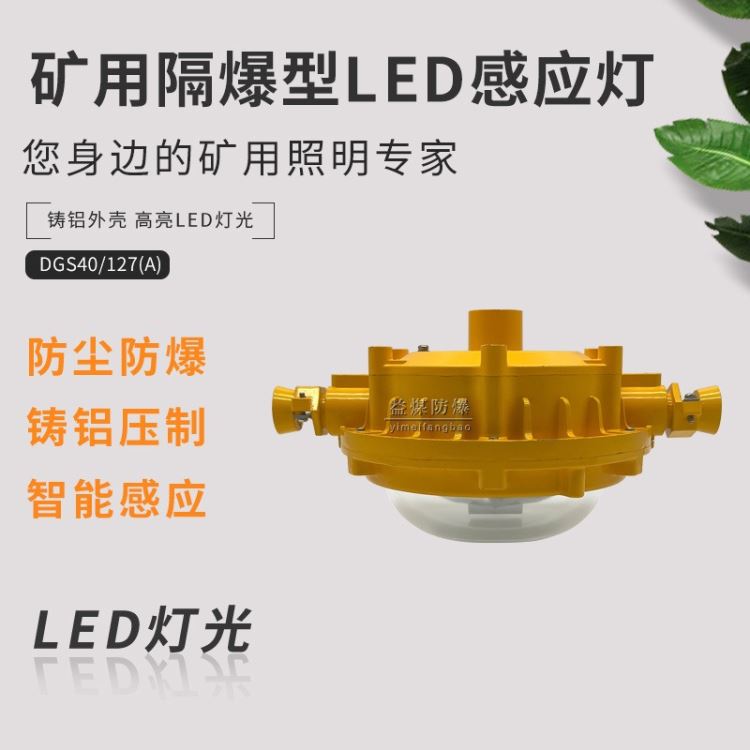 井下照明用智慧感应灯矿用隔爆型LED智慧感应灯DGS40/127（A）