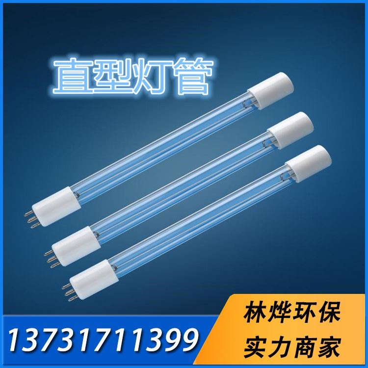 UV光氧灯管150W搭配镇流器 环保设备 专用镇流器除臭臭氧 林烨环保