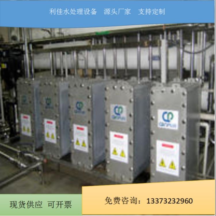 利佳现货高纯水设备厂家  RO膜清洗维护更换  EDI纯水设备 反渗透设备 洗膜设备  利佳精选厂家