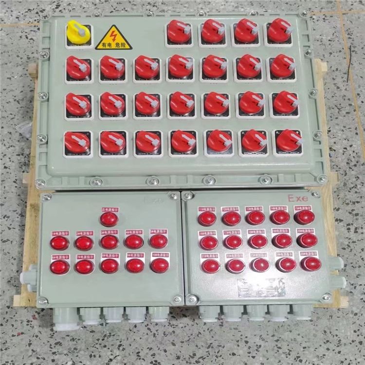 BXMD-25K防爆照明动力配电箱 多回路防爆配电箱 新鑫防爆