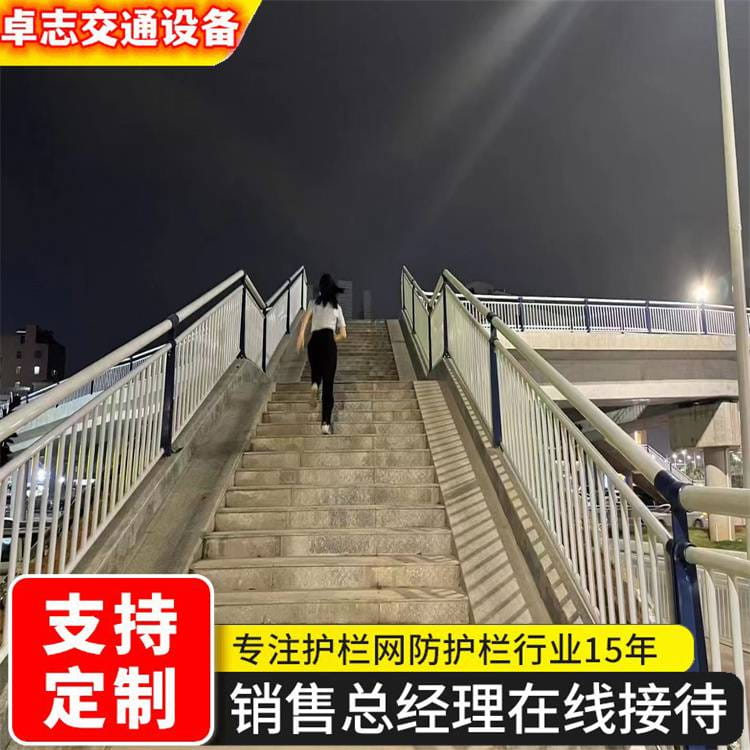 定制桥梁护栏 道路设施栏杆 支持定制 卓志交通设备