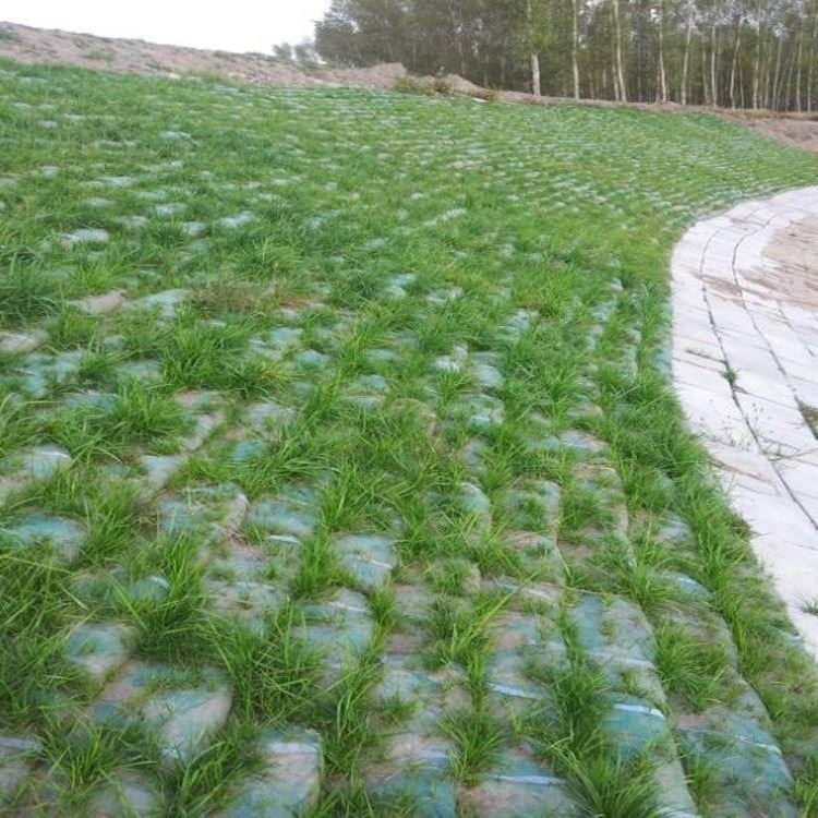 矿山绿化 道路防护植生袋 河道防护生态袋 盖土用植草生态袋