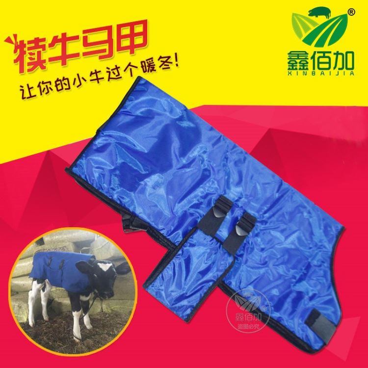 犊牛马甲 加厚小牛保暖衣防风 公母牛通用防寒服 犊牛用保温外套