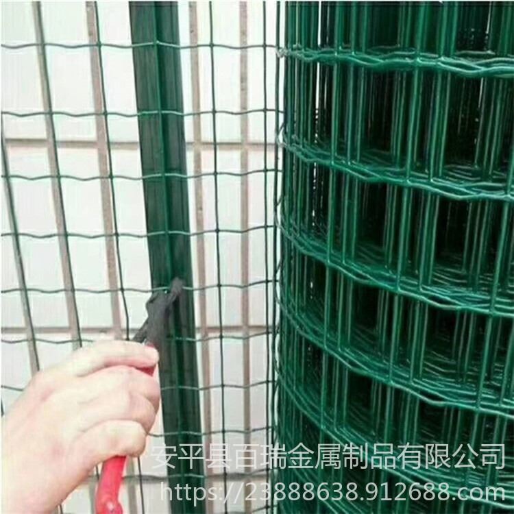 家禽养殖围栏网 绿色铁丝网价格 绿色成卷护栏网 荷兰网现货供应