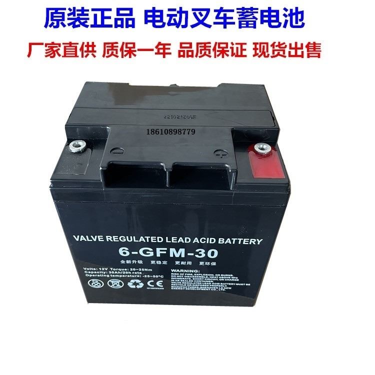 中力大金刚电动叉车蓄电池6-GFM-30 EPT20ET托盘搬运车LEOCH理士电瓶12V30AH