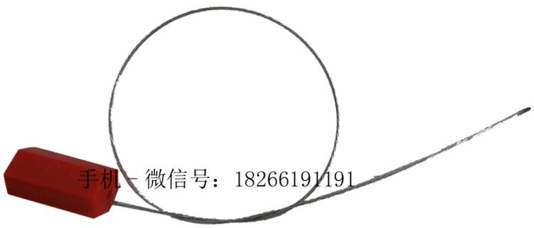 六方钢绳锁铅封山东塑料封条