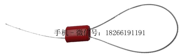 一次性施封锁铅封山东塑料封条