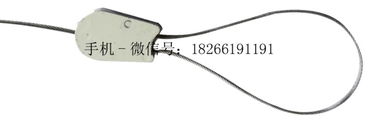 新型施封锁铅封山东塑料封条