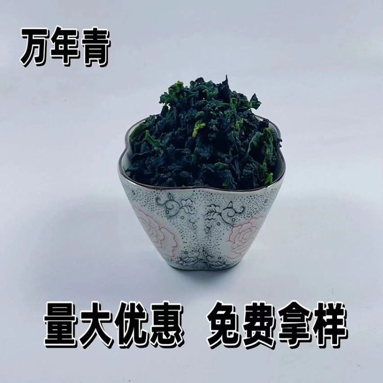 万年青干现货批发脱水蔬菜干脱水万年青万年青菜干散装批发