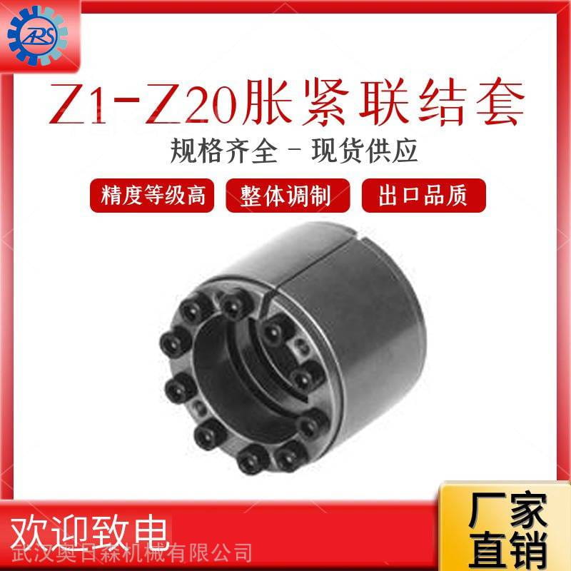 供应胀套传动件 Z12胀紧套25*55-320*405 STK,LOCK,RFN涨套