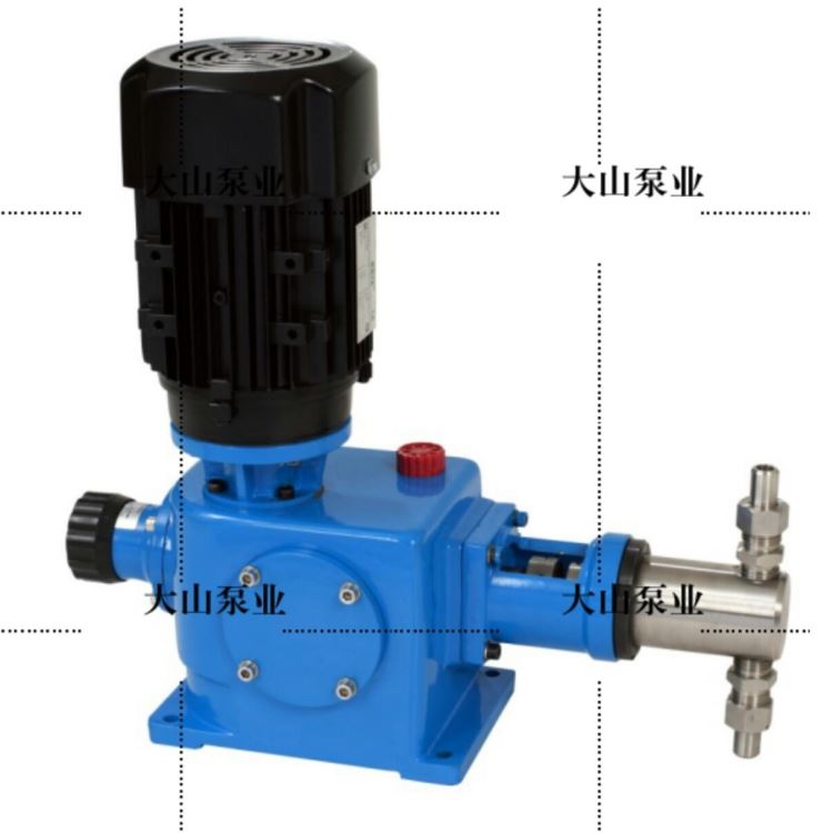 DZ-X柱塞式计量泵