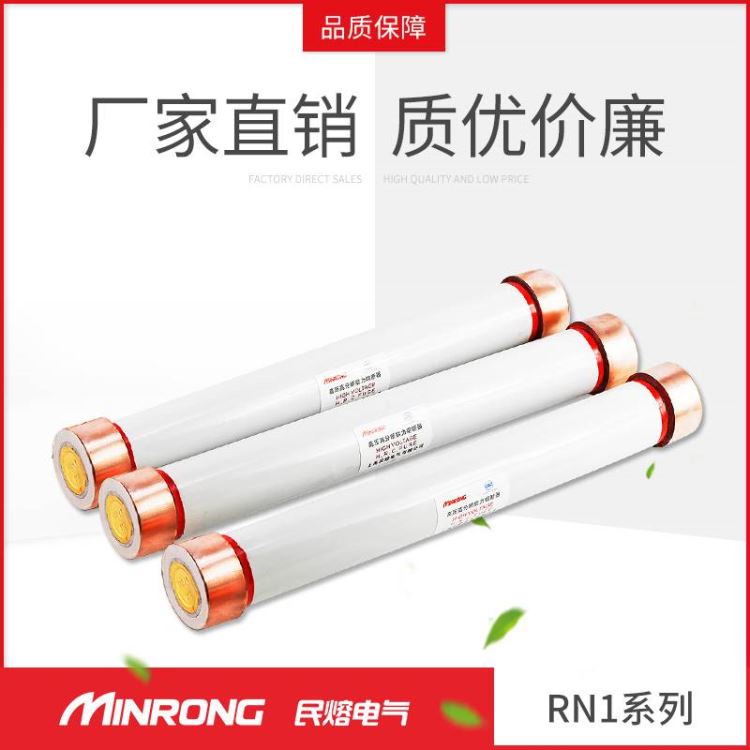 户内高压限流熔断器 熔断器 埃莫森 RN1-10/100-200A 高压熔断器 厂家