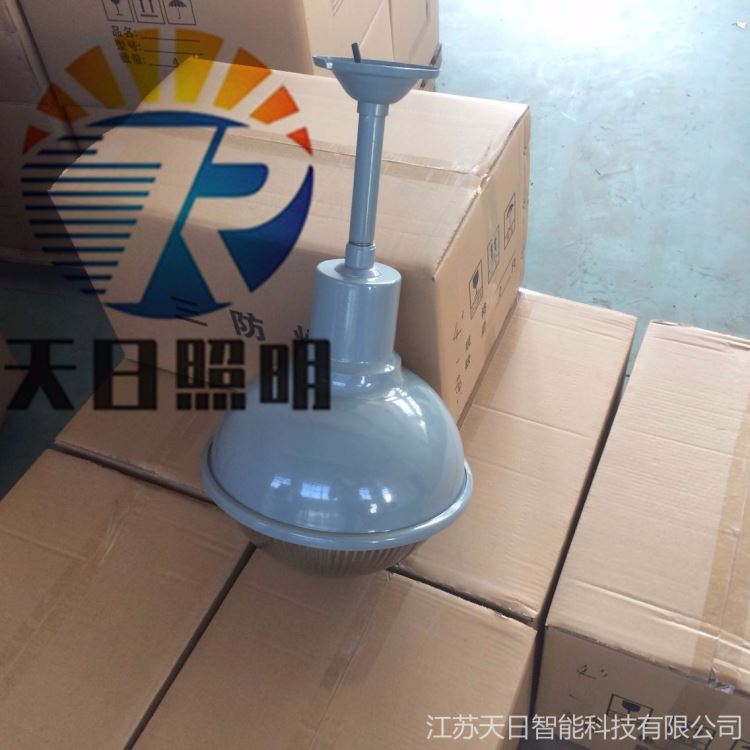 定制ZJD100W防水灯汇彩CXSF58三防灯 天日照明LED三防灯应急防水防腐灯LED四防隧道灯