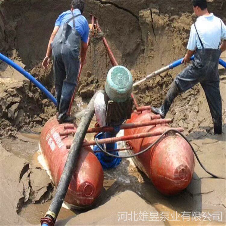 供应 4寸6寸河道清淤泵 养殖场清淤排污泵 NSL液下排污泵使用视频