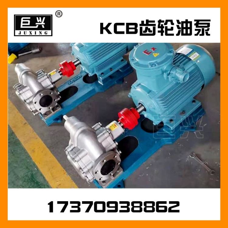 KCB55齿轮泵 电动抽油泵 kcb涂料齿轮泵 小型化工齿轮泵