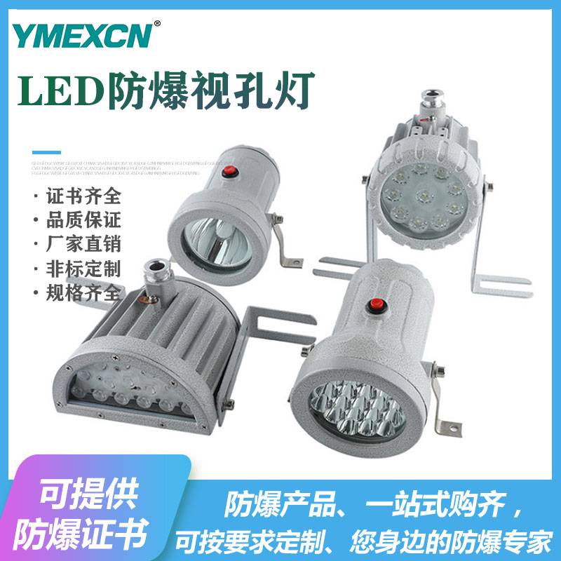 LED防爆视孔灯 10WLED防爆筒灯24V36V220V反应釜专用灯15W