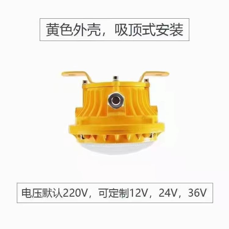 HRD91-30h 护栏式led防爆灯 LED防爆平台灯 30W/50W