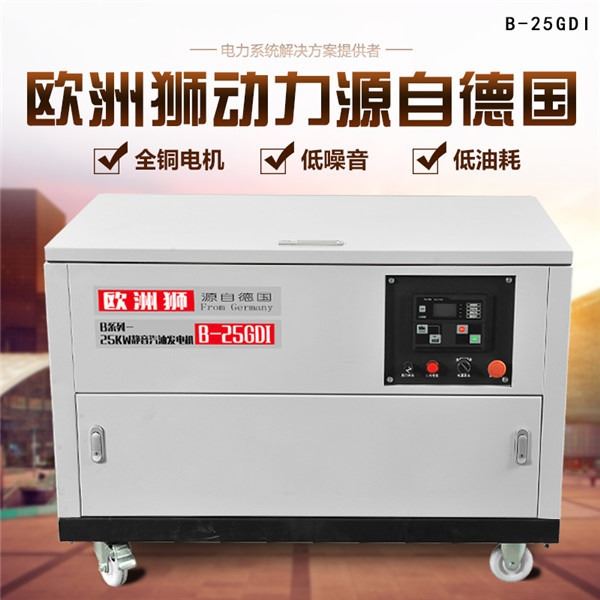 应急汽油发电机组25kw静音汽油发电机家用小型静音多燃料发电机组