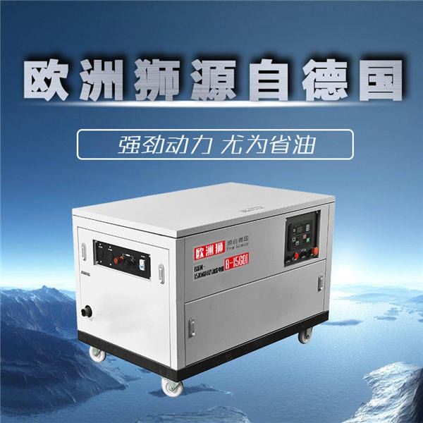 欧洲狮20千瓦户外便携式汽油发电机组型号B-20GDI