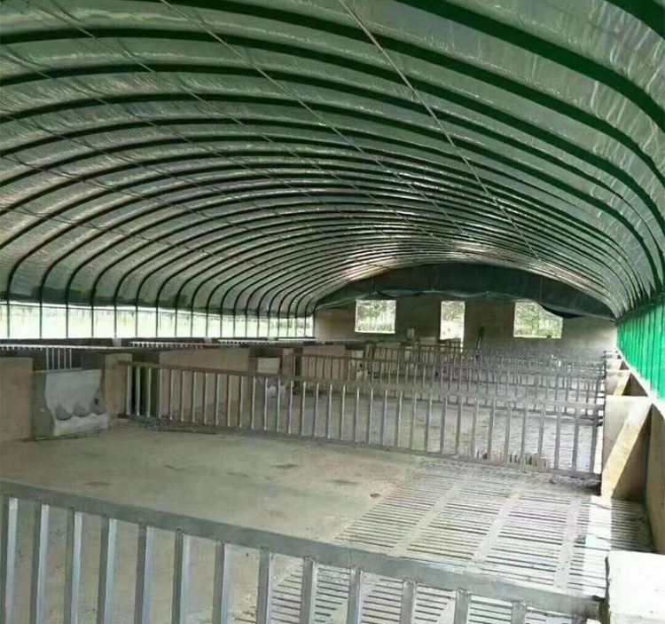 镀锌管养殖棚 博利品牌建设 防雨防风雪 钢管养牛棚 坚固耐用