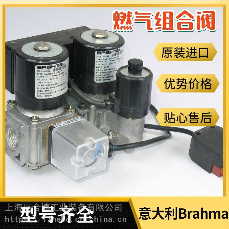 Brahma巴拿马电磁阀EG30*SR2 GMO燃气阀 坜合博工业量大从优