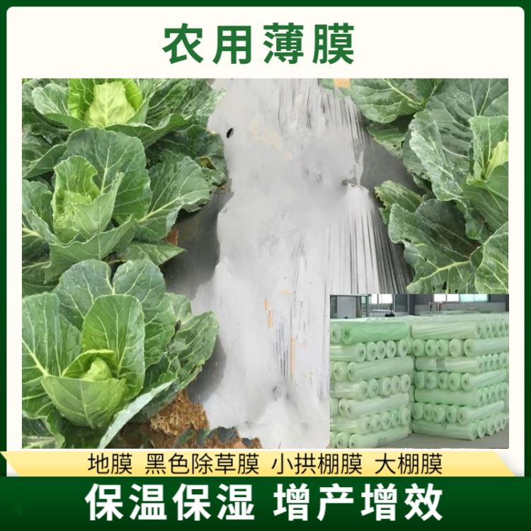 厂家批发全新料塑料薄膜 凯帝PE塑料薄膜 全新料可定制 防尘保温防潮塑料布