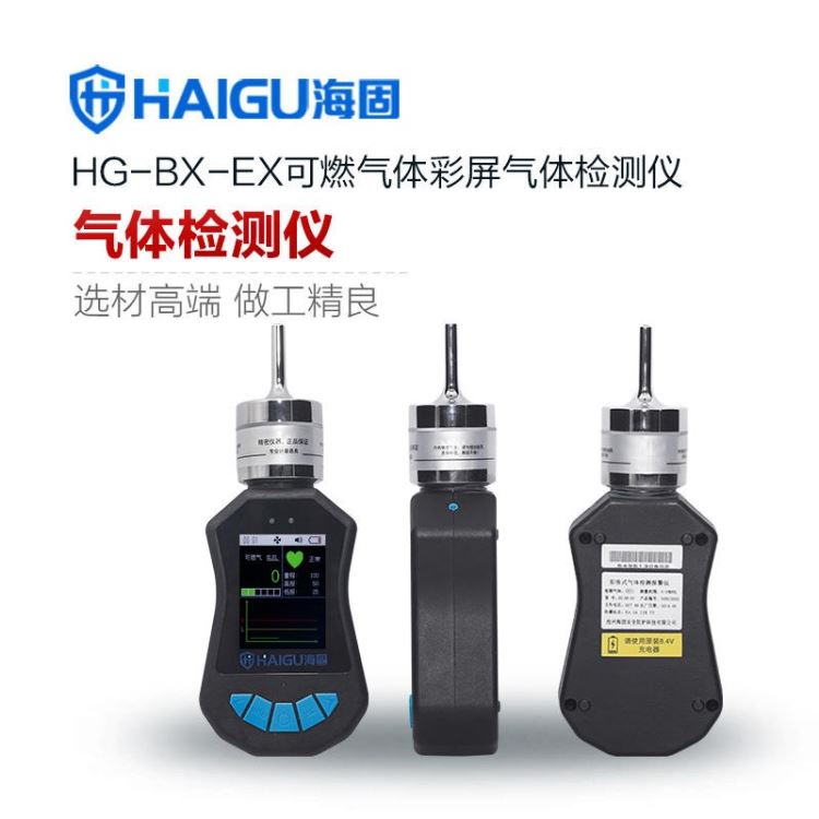 HG-BX-EX可燃彩屏单一泵吸式气体检测仪