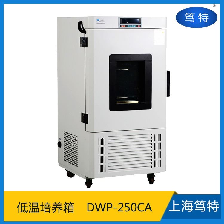 上海笃特生产DWP-250CA可程式低温恒温箱 实验室低温实验箱